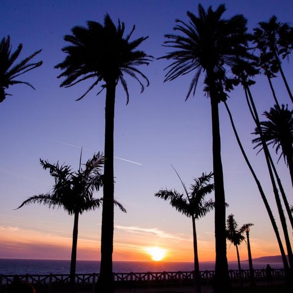 Meet your Posher, Carrie - Picture 1 of 3